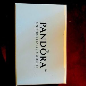 Pandora unforgettable moments sleigh ornament 3rd in series “2010”